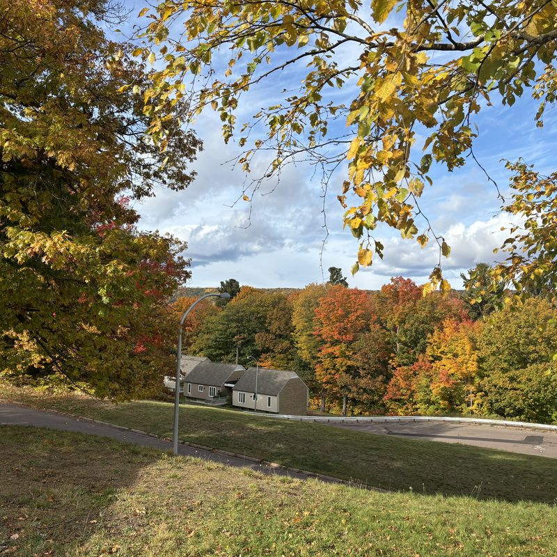 A university campus under autumn trees